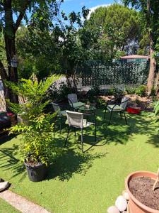 a garden with chairs and a table and a tree at Jela - Spacious Two-Bedroom Apartment near City Center with Free Parking & Wi-Fi in Podgorica