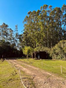 a fence in a field with a dirt road at Cabana de teto de vidro in Santa Cruz do Sul