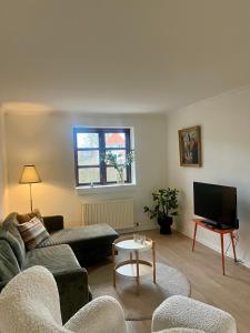 a living room with a couch and a tv at Cozy house with garden in Odense