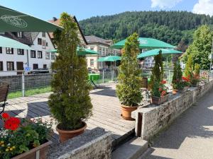 a row of potted trees in pots on a wooden walkway at Zur alten Brücke in Schiltach