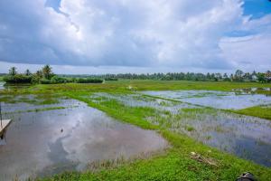 a flooded field withgrass and trees in the distance at LHK Dream Resort Matara in Palatuwa +72 photos