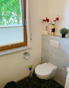 a bathroom with a toilet and a window at Ahrweiler Seelchen in Bad Neuenahr-Ahrweiler