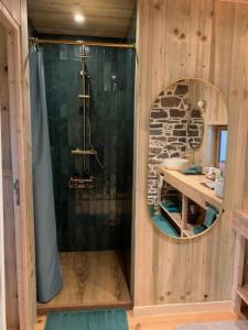 a bathroom with a shower and a mirror at Les Bouyeres in Saint-Malon-sur-Mel +44 photos