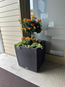 a planter with flowers on the front of a door at Ferienwohnung Stani in Leibnitz