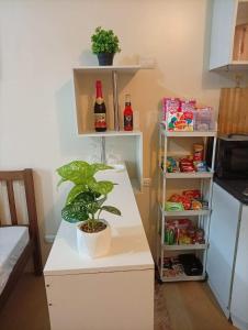 a kitchen with a counter with a plant on it at New Centrio Tower Lovely Studio adj Ayala CDO in Cagayan de Oro