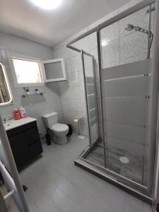 a bathroom with a shower and a toilet at Amelie's Stone House in Vathý +20 photos