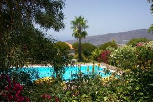 una piscina con palma e fiori di La Villa a El Paso