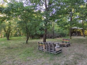 two benches and a picnic table in a park at Different Belgrade camping in Vrčin