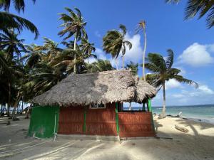 a small hut on a beach with palm trees at Cabañas frente al mar Isla de Guna Yala Aroma in Niatupo