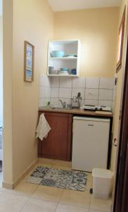 a small kitchen with a sink and a dishwasher at Namastekala Holidays Studios in Chrysi Ammoudia