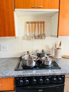 two pots on top of a stove in a kitchen at Intsika apartments in Nelspruit