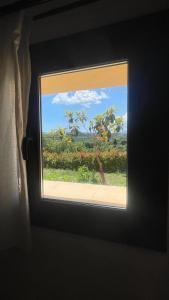 une fenêtre dans une pièce avec vue sur un arbre dans l'établissement Mas els Munts, à Vilanova de Sau 26 autres photos