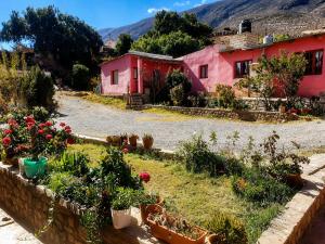 a garden with potted plants in front of a house at Posada Yacoraite Tilcara in Tilcara