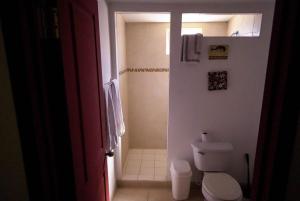 a bathroom with a white toilet and a shower at Rancho Percebu Beach Studio 5 in San Felipe +9 photos