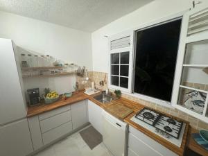 a kitchen with a counter and a sink and a window at Le Jardin Secret in Le Vauclin
