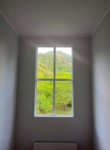 a window in a white room with a tree at Likhauri Guesthouse in Likhauri