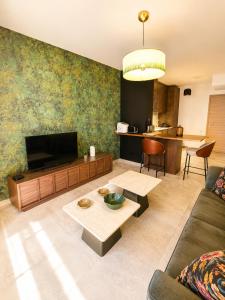 a living room with a couch and a tv at Superbe Appartement - Centre Calvi - Parking privé in Calvi