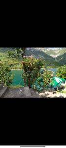a view of a lake with a group of trees at Mostar kuca pored jezera in Mostar +4 photos