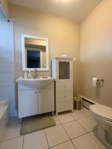 a bathroom with a sink and a mirror and a toilet at Spacious Cottage Style Home in Toronto