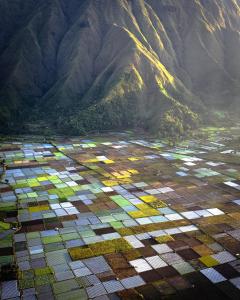 an aerial view of a mountain with colorful tiles at Greentea Hostel in Labuhanhaji