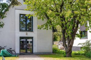 a white building with a tree in front of it at Sonne in Diedrichshagen