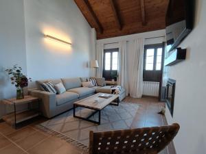 ein Wohnzimmer mit Sofa und Tisch in der Unterkunft Aneto Dúplex en Badaguas in Badaguás