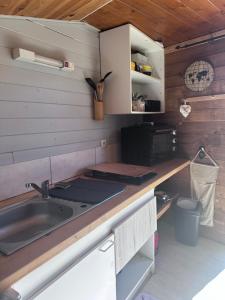 a kitchen with a sink and a counter at Le Petit Farfadet in Flangebouche