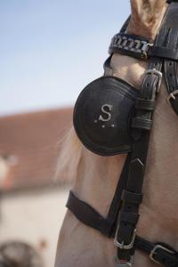 a horse with a black harness on its neck at Domaine la Héroïca in Maisonnais
