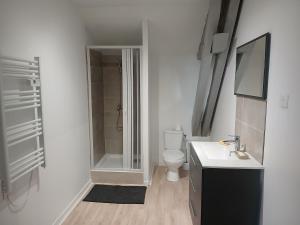 a bathroom with a toilet and a sink and a shower at La Grange Landaise in Laglorieuse +17 photos