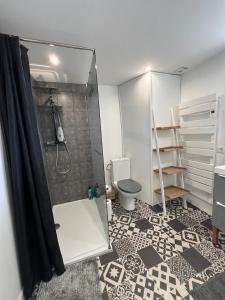 a bathroom with a shower and a toilet at L'Annexe du Piton in Sancerre +23 photos