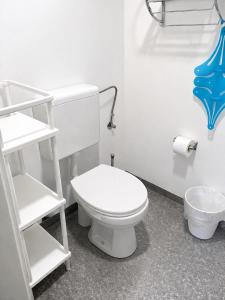 a bathroom with a white toilet and a shelf at Monteurwohnungen in Andervene in Andervenne Oberdorf