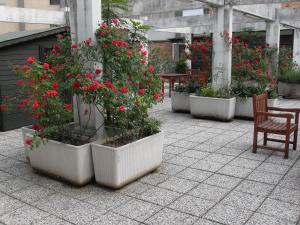 A garden outside Albergo Residence Italia Vintage Hotel