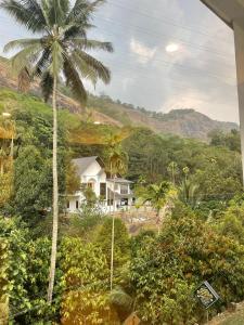 a house on a hill with a palm tree at Grand Munnar Rooms in Munnar