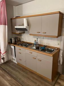 a small kitchen with a sink and a stove at Ferienwohnung Darosa Alpenliebe in Seeg