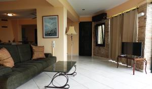 a living room with a couch and a television at One Bedroom Villa in Alikanas