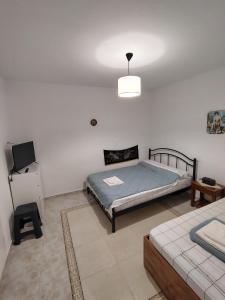 a bedroom with a bed and a television in it at Trikeri pleasant stay in Ayía Kiriakí