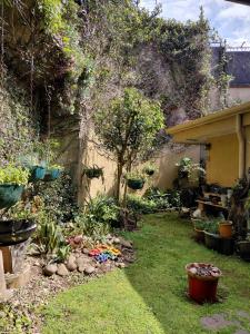 a garden with a bunch of plants in a yard at San Remo 1 in San Pedro +5 photos