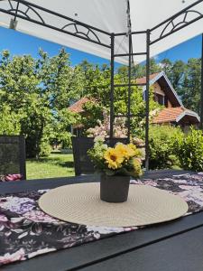 a table with a vase with yellow flowers on it at Vacation house Terra in Petrovina