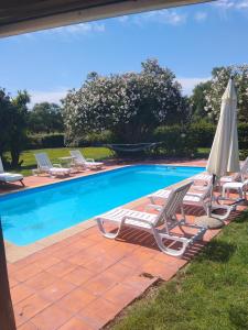 a group of chairs and umbrellas next to a swimming pool at Monte dos Duques in Santo Estêvão