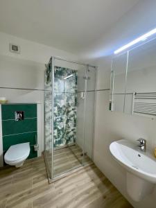 a bathroom with a shower and a toilet and a sink at Pension Kiwi in Mikulov +39 photos
