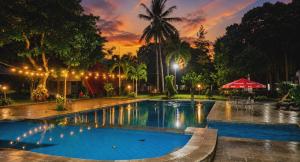 a swimming pool in a park at night at Votel Manyar Resort Banyuwangi in Ketapang