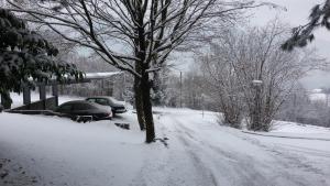 a snow covered street with a car parked next to a tree at Affittacamere Rubino Guest House in Ponte nellʼAlpi +65 photos