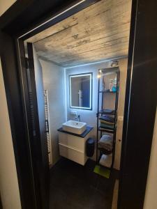 a bathroom with a sink and a mirror at Chambres d'hotes in Bertrix
