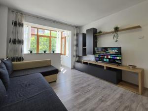 a living room with a couch and a tv at Konstanzer Podu Ros 11 - Spacious Apt - Palas Mall - AC in Iaşi