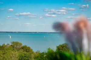 a view of a body of water from a window at Apartman 360 in Balatonalmádi