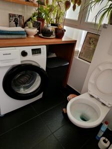 a bathroom with a washing machine and a toilet at Chambre et Salle de bain privées avec vue sur jardin dans maison familiale in Montreuil +3 photos