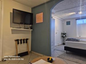 a living room with a flat screen tv on a wall at Basement hideaway in Akureyri