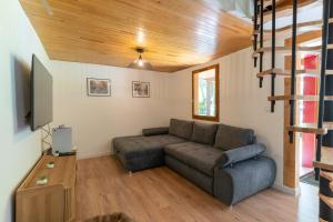 a living room with a couch and a tv at Chalet du Lacus in Boutx