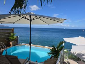 a swimming pool with an umbrella and the ocean at CLEMARA EVASION in Schœlcher