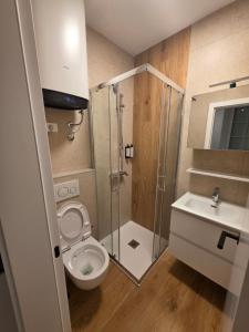 a bathroom with a toilet and a shower and a sink at Apartmaji Sonce in Piran +32 photos
